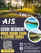 AIS ECVDI Mock Board
