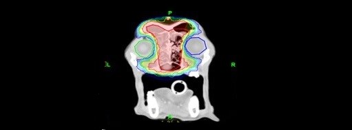 Veterinary Radiation Oncology