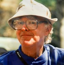 Dr Joe P Morgan
